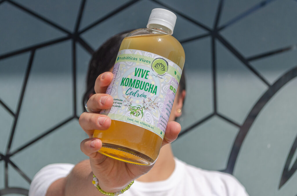 Kombucha Cedrón