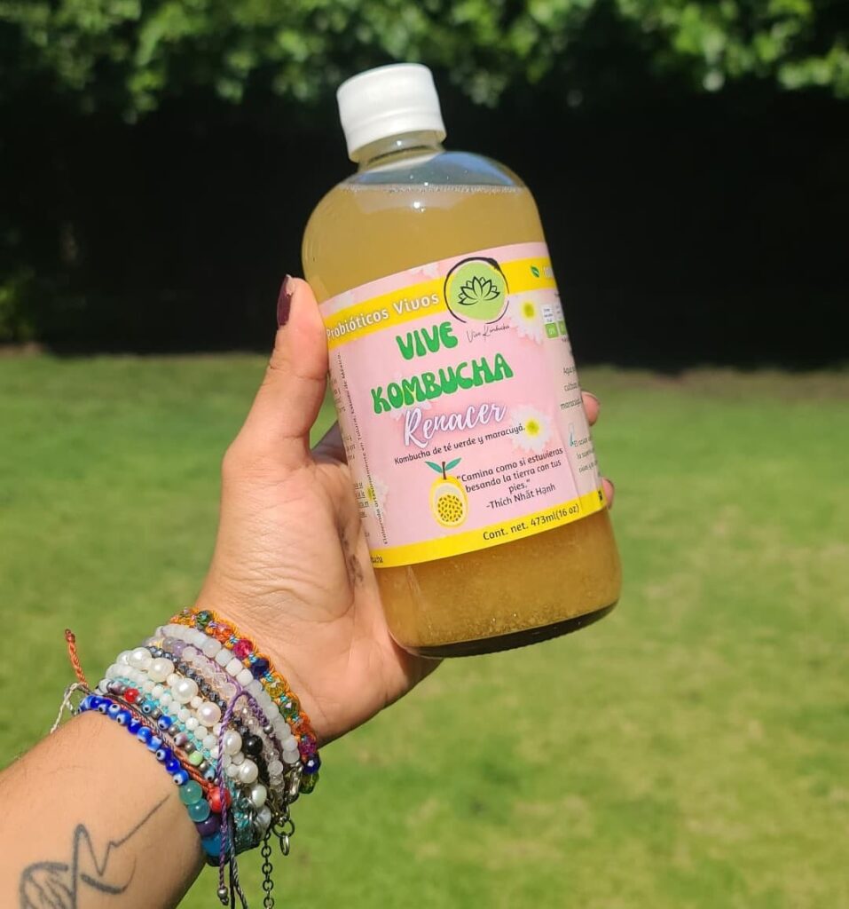 Kombucha "Renacer" (maracuyá)